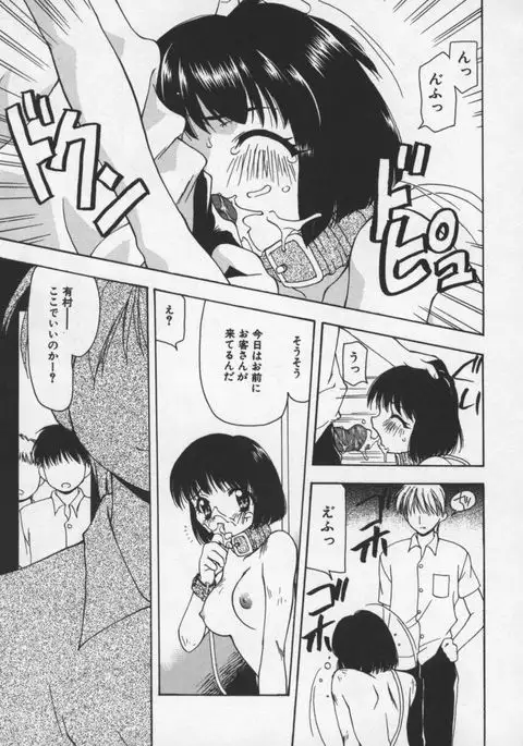 Cats On The Black Cage