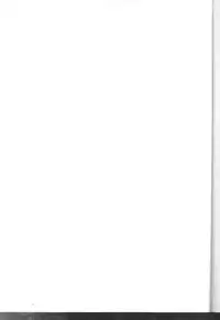 [Nyagos (Yatengetu)] Sajin Enbu (CODE GEASS: Lelouch of the Rebellion) [English] [CGrascal]