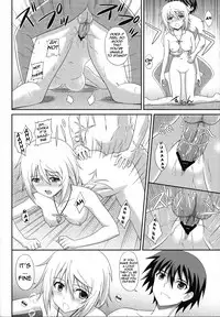 (COMIC1☆5) [CROSS-DO (Masakichi)] Infinite Sex (Infinite Stratos) [English] [Kibitou4Life]
