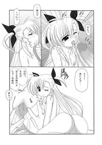 [Nekoya (Kuon Kyoushirou)] Vivi☆Ein (Mahou Shoujo Lyrical Nanoha)