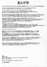 (C84) [Totsugasa (Sagattoru)] ULTIMATE WAVE (Touhou Project)